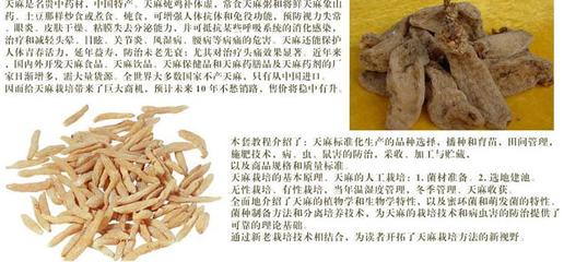 巨豐一號(hào)天麻加盟