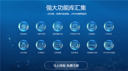 企業(yè)網(wǎng)站建設(shè)與后期維護(hù) 構(gòu)建持續(xù)在線的商業(yè)門戶