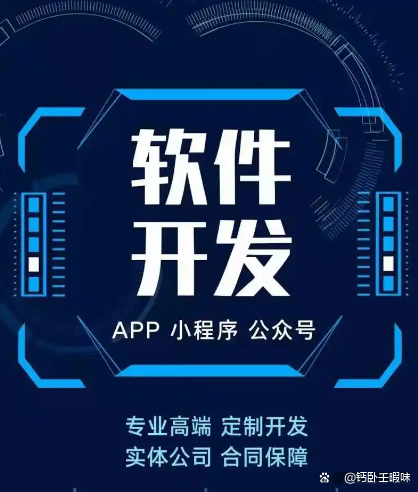 個(gè)性化功能需求，專(zhuān)業(yè)定制軟件開(kāi)發(fā)服務(wù)如何全面滿(mǎn)足？